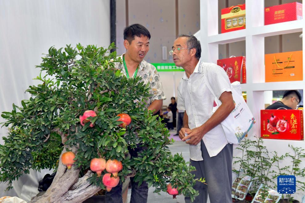 mg爆奖平台